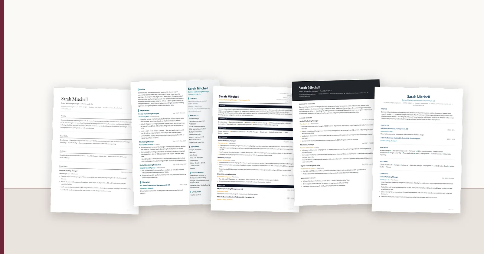 The same candidate CV rendered in five different formats.