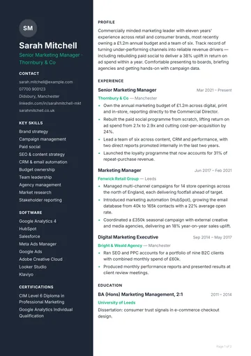 Dalston CV template — modern, left sidebar layout