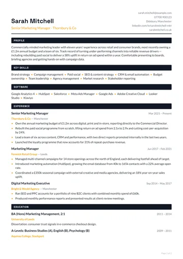 Hoxton CV template — modern, compact layout