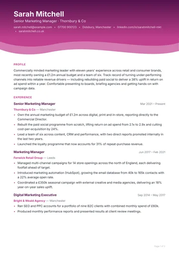 Piccadilly CV template — stylish, curved layout